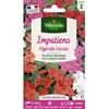 Image de Graines - Vilmorin - Impatiens Hybride Variée