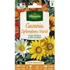 Image de Graines - Vilmorin - Gazania Splendens Varié