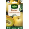 Image de Graines - Vilmorin - Potiron Jaune Gros de Paris