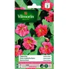 Image de VILMORIN Capucine naine double Cherry Rose