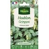 Image de Graines - Vilmorin - Houblon Grimpant