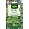 Image de VILMORIN Basilic cannelle