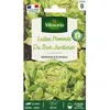 Image de Graines - Vilmorin - Laitue Pommée du Bon Jardinier