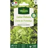 Image de Graines - Vilmorin - Laitue Batavia Dorée de Printemps