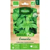 Image de Basilic Genovese bio Vilmorin