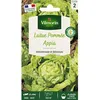 Image de Graines - Vilmorin - Laitue Pommée Appia