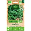 Image de Graine - Vilmorin - Coriandre Cultivée - BIO