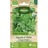Image de Graine - Vilmorin - Persil Gigante dItalia (Géant dItalie) - BIO