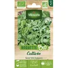 Image de Graines - Vilmorin - Roquette Cultivée - BIO