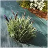 Image de Toile de paillage tissée 90 g / m² 1.6 m x 20m-