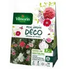Image de VILMORIN Mélange graines de fleurs COIN DE SENTEURS - 7 m²