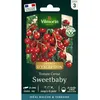 Image de Graines - Vilmorin - Tomate Sweetbaby - Graines dException