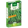 Image de VILMORIN Sachet graines de Haricot nain sans fil DELINEL