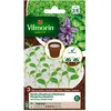 Image de Graine - Vilmorin - Basilic - Tapis de graines - 3 cm x 10 cm (x3)