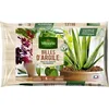 Image de Billes dargile vilmorin sac de 5 litres-