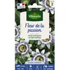 Image de Graines - Vilmorin - Fleur de la Passion (Passiflore)