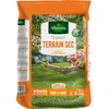 Image de VILMORIN Semences de gazon rustique pour terrain sec - 10 kg