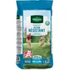 Image de VILMORIN Semences de gazon ultra-résistant Label Rouge - 5 kg