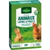 Image de VILMORIN Semences de prairie pour lapin et poule