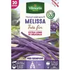 Image de Graine - Vilmorin - Haricot Grimpant Violet Mélissa - 20 m