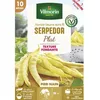 Image de Graine - Vilmorin - Haricot Nain Plat Beurre Serpedor - 10 m