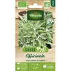 Image de Graine - Vilmorin - Sauge Officinale - BIO