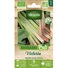 Image de Graines - Vilmorin - Rhubarbe Victoria - BIO