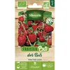 Image de Graines - Vilmorin - Fraisier des Bois - BIO