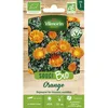 Image de Graines - Vilmorin - Souci Orange - BIO
