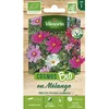 Image de Graines - Vilmorin - Cosmos Varié - BIO