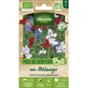 Image de Graines - Vilmorin - Pois de Senteur Varié - BIO