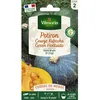 Image de Graines - Vilmorin - Potiron (Courge Kabocha) Green Hokkaido - Cuisine du Monde