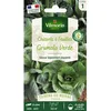 Image de Graines - Vilmorin - Chicorée à Feuilles Grumolo Verde - Cuisine du Monde