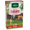 Image de Gazon - Vilmorin - Gazon 7 jours - 250 g