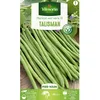 Image de Graine - Vilmorin - Haricot Nain Vert Talisman