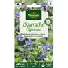 Image de Graine - Vilmorin - Bourrache Officinale