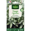 Image de Graine - Vilmorin - Sauge Officinale