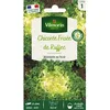 Image de Graines - Vilmorin - Chicorée Frisée de Ruffec