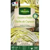 Image de Graines - Vilmorin - Chicorée à Feuilles Sauvage Amère Barbe de Capucin - Légumes dAutrefois