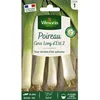 Image de VILMORIN Poireau gros long dété 2