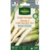 Image de Graines - Vilmorin - Carotte Fourragère Blanche à Collet Vert Hors Terre