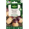 Image de Graines - Vilmorin - Rutabaga Champion (à Collet Rouge) - Légumes dAutrefois