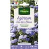 Image de Graines - Vilmorin - Agératum Roi des Bleus