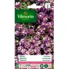 Image de Graines - Vilmorin - Alysse Tapis Royal
