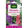 Image de Graines - Vilmorin - Balsamine Camélia Double Variée