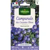Image de Graines - Vilmorin - Campanule des Carpates Bleue