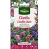Image de Graines - Vilmorin - Clarkia Variée