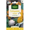 Image de Graines - Vilmorin - Coloquinte Variée