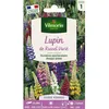 Image de Graines - Vilmorin - Lupin de Russel Varié