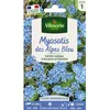 Image de Graines - Vilmorin - Myosotis des Alpes Bleu